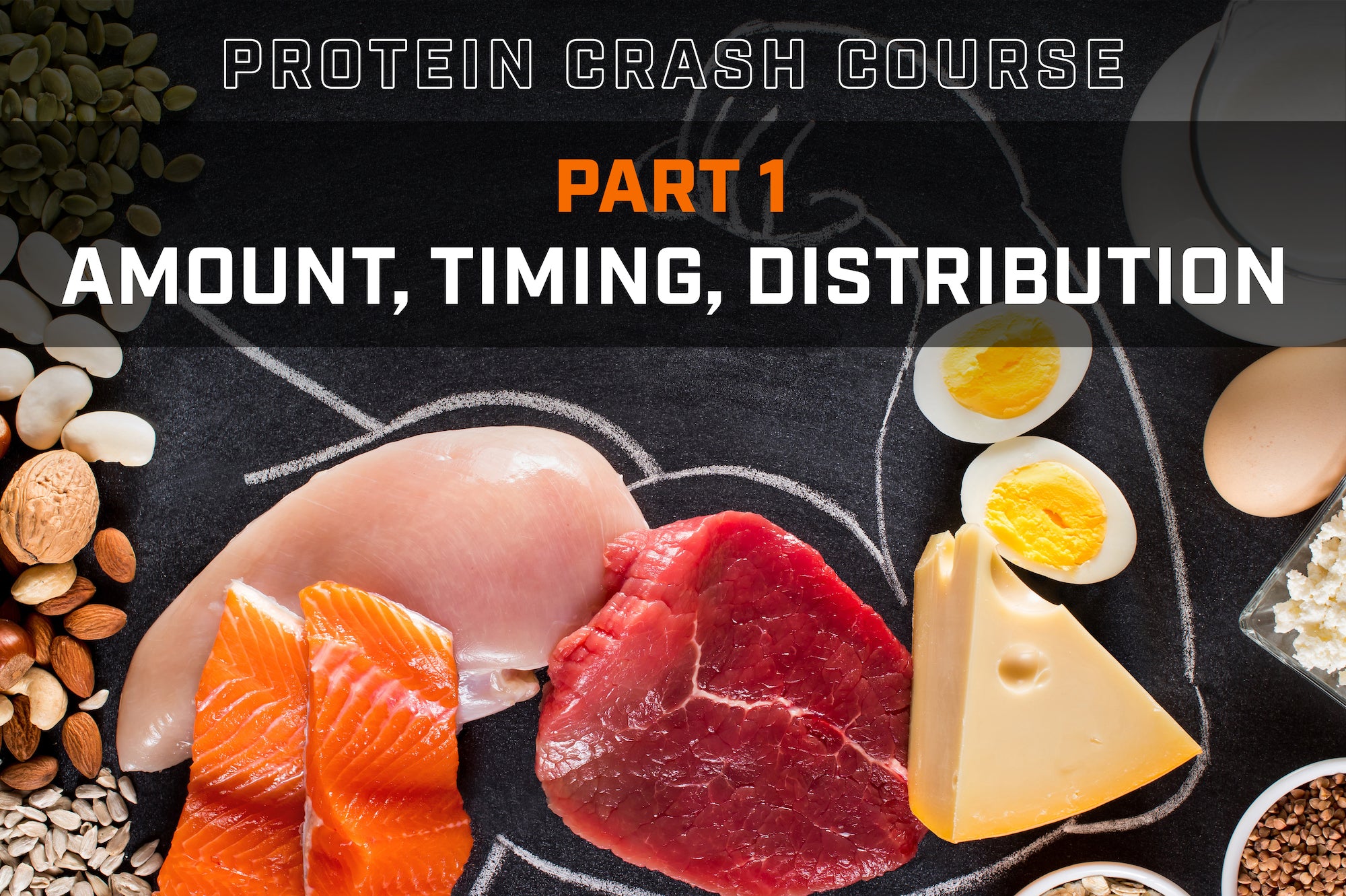 Protein Crash Course - Part 1 | Amount, Timing, Distribution ...